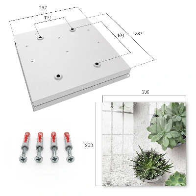 Key cabinet Green succulents