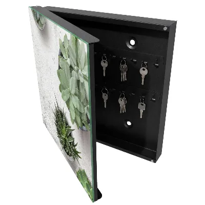 Key cabinet Green succulents