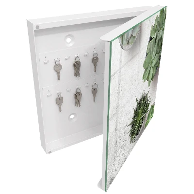 Key cabinet Green succulents