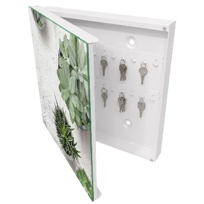 Key cabinet Green succulents