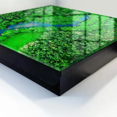 Key box for wall Green forests