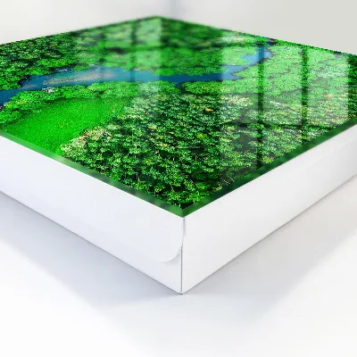 Key box for wall Green forests