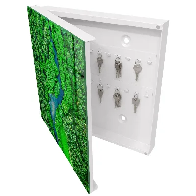 Key box for wall Green forests
