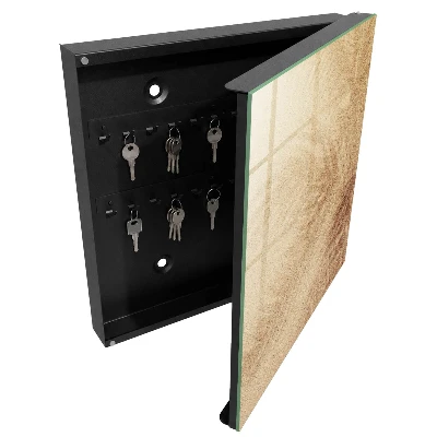 Key cabinet Foamy tracks