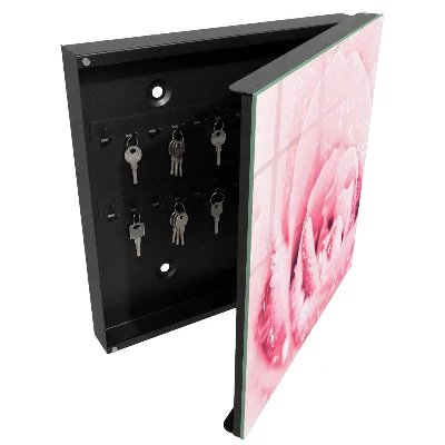 Key cabinet Rose delicacy