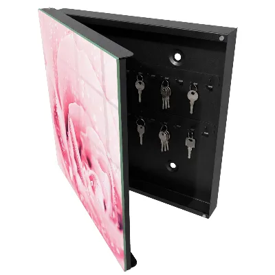 Key cabinet Rose delicacy