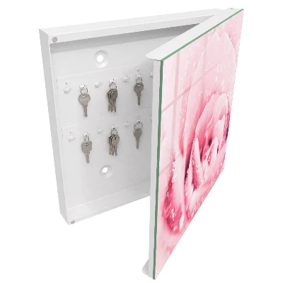 Key cabinet Rose delicacy