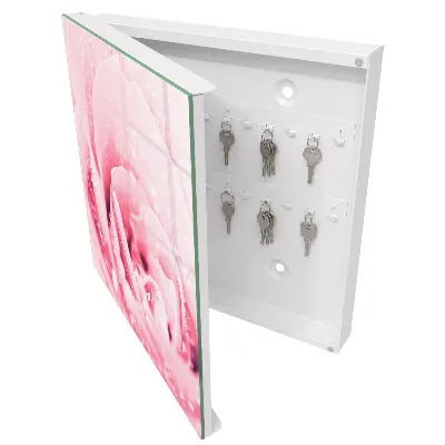 Key cabinet Rose delicacy