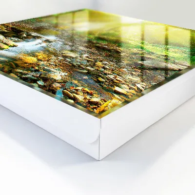 Key box for wall Forest stream