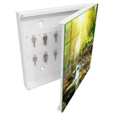 Key box for wall Forest stream