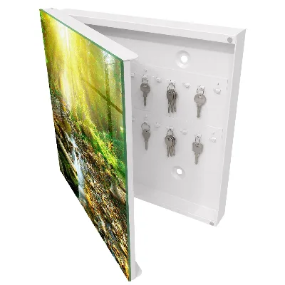 Key box for wall Forest stream