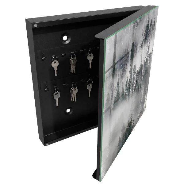 Wall mounted key box Misty green