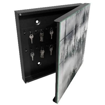 Wall mounted key box Misty green
