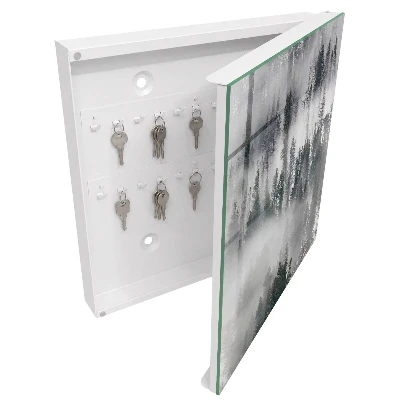 Wall mounted key box Misty green