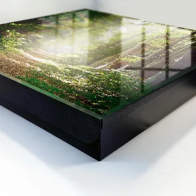 Key box for wall Forest landscape