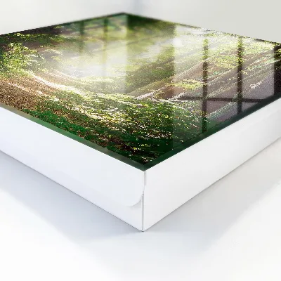Key box for wall Forest landscape