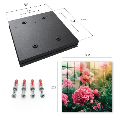 Key cabinet Pink peonies