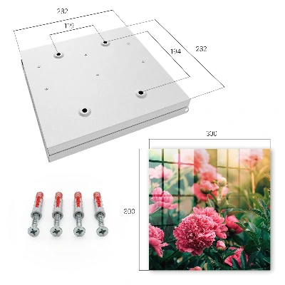 Key cabinet Pink peonies