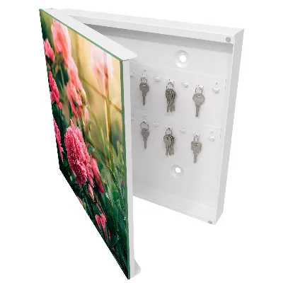 Key cabinet Pink peonies