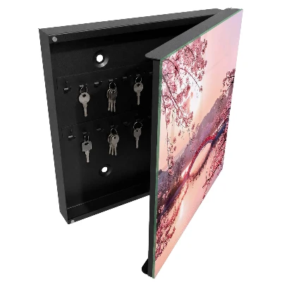 Wall mounted key box Spring bridge