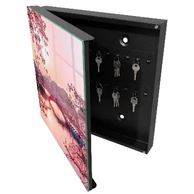 Wall mounted key box Spring bridge