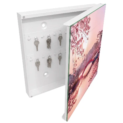 Wall mounted key box Spring bridge