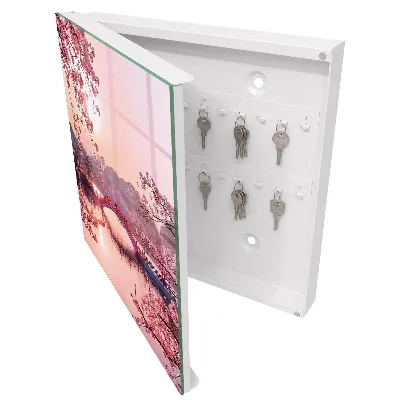 Wall mounted key box Spring bridge