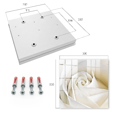 Key cabinet White rose