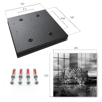 Key box for wall Jaguars in the water