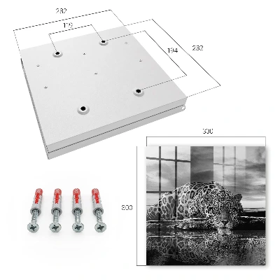Key box for wall Jaguars in the water