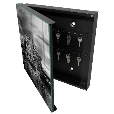 Key box for wall Jaguars in the water