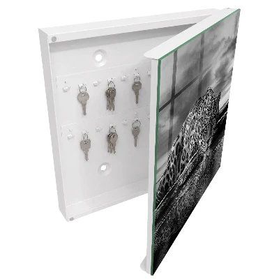 Key box for wall Jaguars in the water