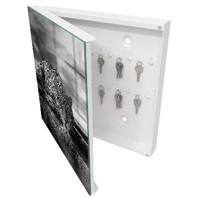 Key box for wall Jaguars in the water