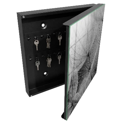 Wall mounted key box Dandelion seeds