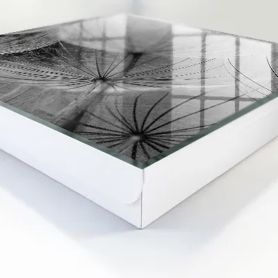 Wall mounted key box Dandelion seeds