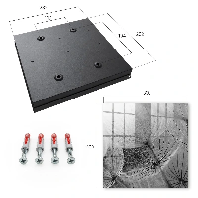 Wall mounted key box Dandelion seeds