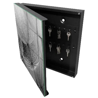 Wall mounted key box Dandelion seeds