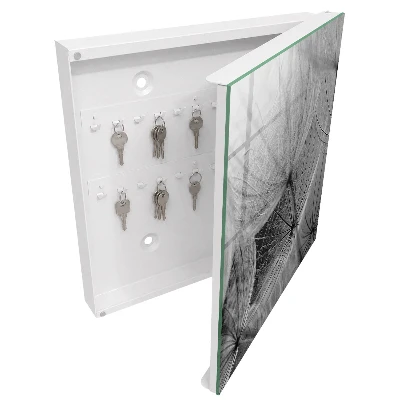 Wall mounted key box Dandelion seeds