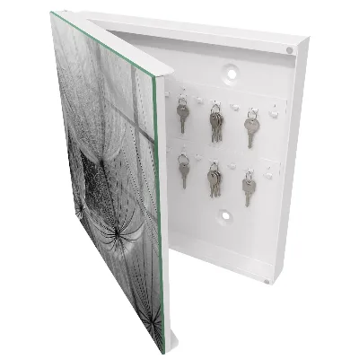 Wall mounted key box Dandelion seeds