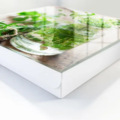 Key box for wall Green herbs