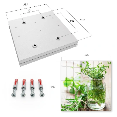Key box for wall Green herbs