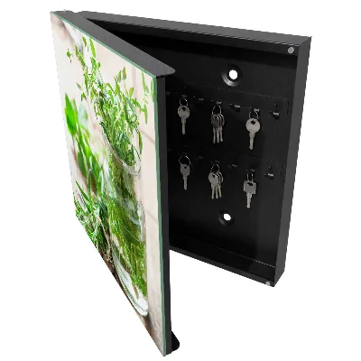 Key box for wall Green herbs