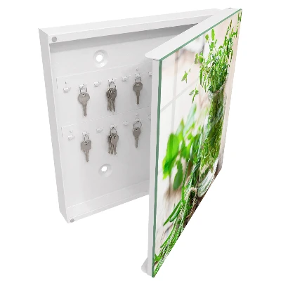 Key box for wall Green herbs