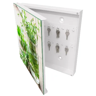 Key box for wall Green herbs