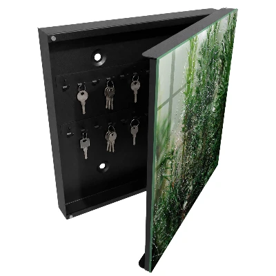 Key cabinet Spiderweb in the forest