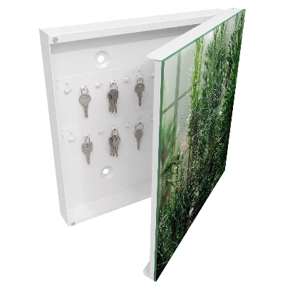 Key cabinet Spiderweb in the forest