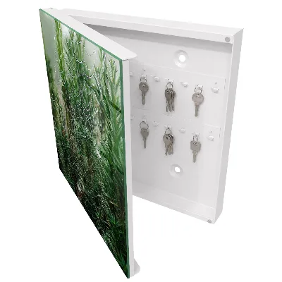 Key cabinet Spiderweb in the forest