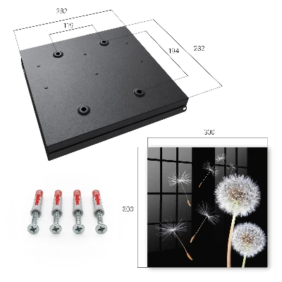 Wall mounted key box Delicate dandelions