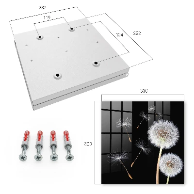 Wall mounted key box Delicate dandelions