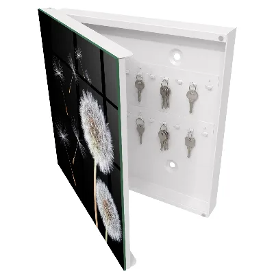 Wall mounted key box Delicate dandelions